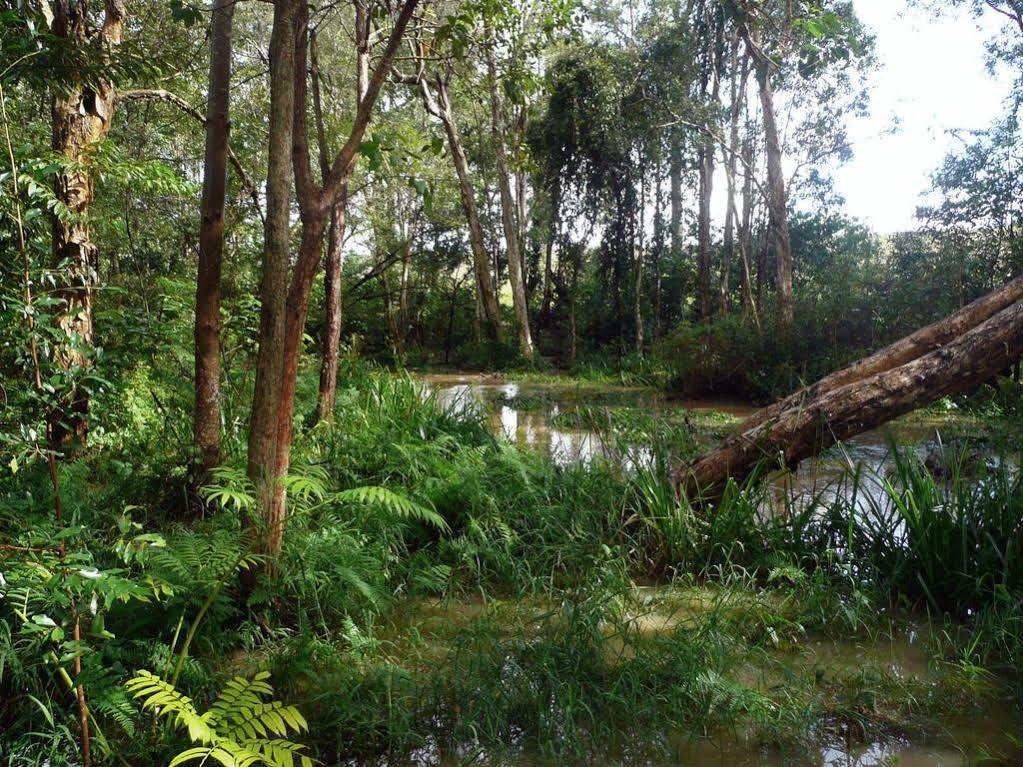 Glass House Mountains Ecolodge Экстерьер фото